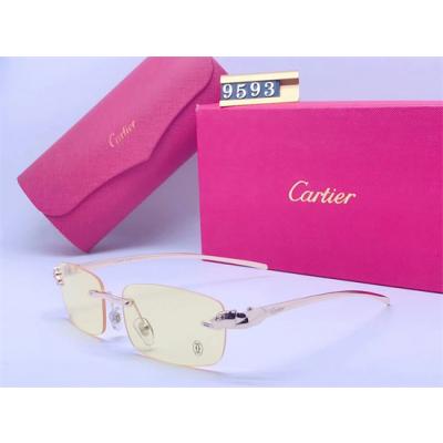 Cartier Sunglass A 012